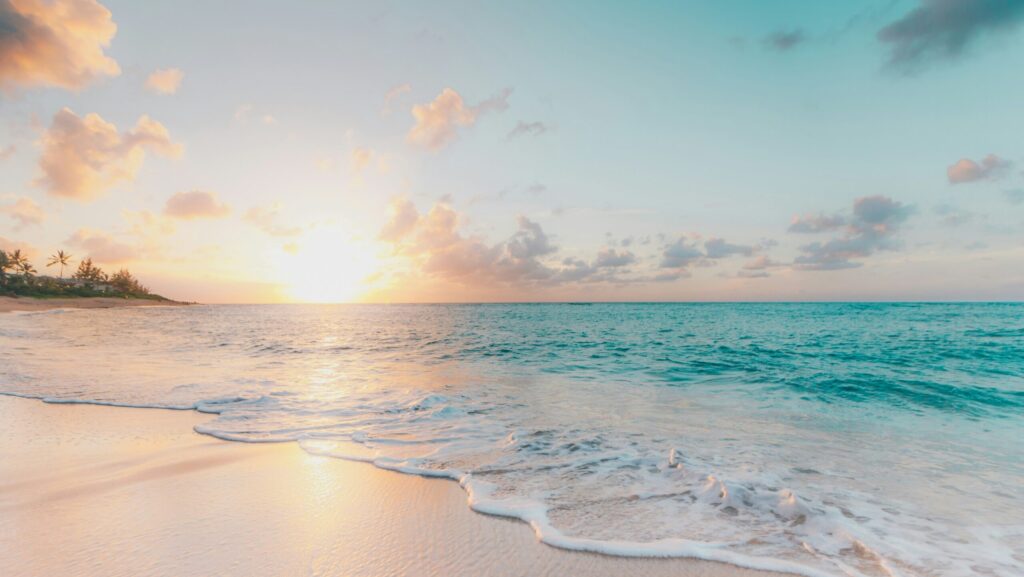 海の景色